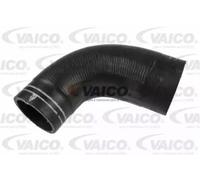VAICO V24-0685 Gaine de suralimentation