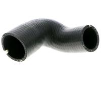 VAICO V24-0699 Gaine de suralimentation (51780785)