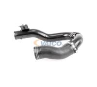 VAICO V24-0718 Gaine de suralimentation