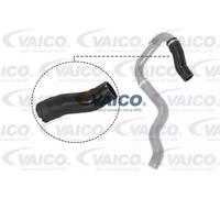 VAICO V24-0732 Durite de turbo