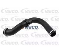 VAICO V25-1021 Durite de turbo