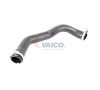 VAICO V25-1022 Durite de turbo