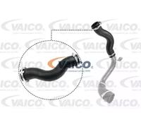 VAICO V25-1030 Durite de turbo