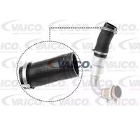 VAICO V25-1036 Durite de turbo