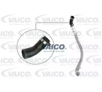 VAICO V25-1037 Durite de turbo