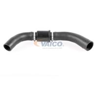 VAICO V25-1126 Durite de refroidissement