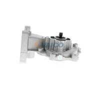 VAICO V25-50014 Pompe à eau