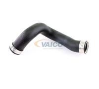 VAICO V30-1784 Gaine de suralimentation