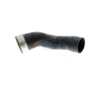 VAICO V30-1786 Gaine de suralimentation