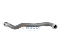 VAICO V30-2907 Durite de refroidissement