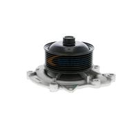 VAICO V30-50060 Pompe à eau