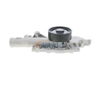 VAICO V30-50068 Pompe à eau