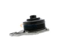 VAICO V30-50085 Pompe à eau