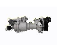 VAICO V30-50113 Pompe à eau