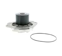 VAICO V40-50044 Pompe à eau (95518855)