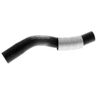 VAICO V42-0564 Gaine de suralimentation (0381.28)