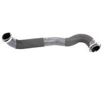 VAICO V48-0070 Gaine de suralimentation (PNH500025)