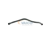 VAICO V50-0065 Tuyau reniflard d'huile