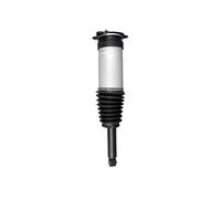 VAICO - V58-0284 - Amortisseur - Compatible Avec TESLA 1067466-25-C