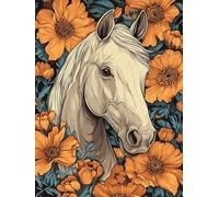 VAIIEYO 5D Diamond Painting Adulte Cheval, Peinture Diamant Animal, Canevas Broderie Diamant Kit Complet Point De Croix Broderie Salon Chambre Autocollant Mural Décoration 30x40cm-46