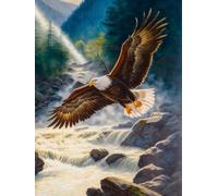 VAIIEYO 5D Diamond Painting Aigle, Broderie Diamant Animaux, Canevas Diamant kit Complet Point De Croix Broderie Salon Chambre Autocollant Mural Décoration 30x40cm