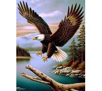 VAIIEYO 5D Diamond Painting Aigle, Broderie Diamant Animaux, Canevas Diamant kit Complet Point De Croix Broderie Salon Chambre Autocollant Mural Décoration 30x40cm