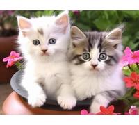 VAIIEYO 5D Diamond Painting Chat, Broderie Diamant Animaux, Canevas Diamant kit Complet Point De Croix Broderie Salon Chambre Autocollant Mural Décoration 30x40cm-40