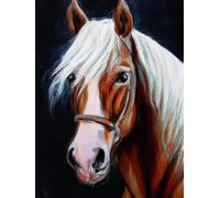 VAIIEYO 5D Diamond Painting Cheval, Broderie Diamant Animal, Canevas Diamant kit Complet Point De Croix Broderie Salon Chambre Autocollant Mural Décoration 30x40cm