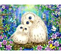 VAIIEYO 5D Diamond Painting Chouette, Broderie Diamant Animal, Canevas Diamant kit Complet Point De Croix Broderie Salon Chambre Autocollant Mural Décoration 30x40cm