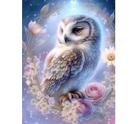 VAIIEYO 5D Diamond Painting Chouette, Broderie Diamant Animaux, Canevas Diamant kit Complet Point De Croix Broderie Salon Chambre Autocollant Mural Décoration 30x40cm
