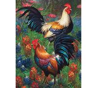VAIIEYO 5D Diamond Painting Coq, Broderie Diamant Attrapeur De Animal, Canevas Diamant kit Complet Point De Croix Broderie Salon Chambre Autocollant Mural Décoration 30x40cm