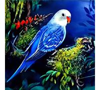 VAIIEYO 5D Diamond Painting Perroquet, Broderie Diamant Oiseau, Canevas Diamant kit Complet Point De Croix Broderie Salon Chambre Autocollant Mural Décoration 35x35 cm
