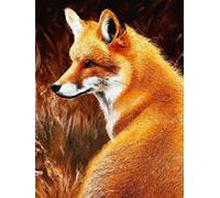 VAIIEYO 5D Diamond Painting Renard, Broderie Diamant Animal, Canevas Diamant kit Complet Point De Croix Broderie Salon Chambre Autocollant Mural Décoration 30x40cm