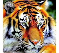 VAIIEYO 5D Diamond Painting Tigre, Broderie Diamant Animal, Canevas Diamant kit Complet Point De Croix Broderie Salon Chambre Autocollant Mural Décoration 35x35 cm