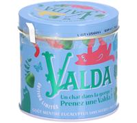 Valda Gommes Sans Sucres Menthe Eucalyptus Gummies 160 g