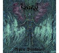 Valdrin - Apex Violator [Vinyl LP]