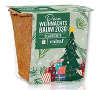 valeaf Kit de culture de sapin de Noël - Excellente idée cadeau - Cadeaux de Noël secrets - Cadeaux de Père Noël et cadeaux de jardin - Arbre de Noël dans une boîte - Ensemble de plantes avec