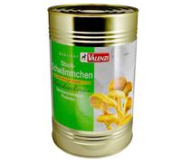 Valenzi éponge à bâton 2295g
