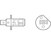 VALEO 032505 Ampoule, dans les Virages Léger pour , Abarth, Alfa Romeo ,Alpina,