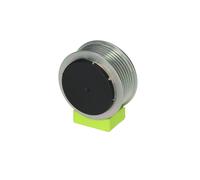 VALEO 593920 Poulie, alternateur