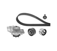 Valeo 614560 Kit de distribution + Pompe à eau: PEUGEOT 206 / 306