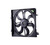 Valeo 696583 Ventilateur de refroidissement moteur