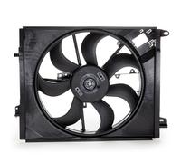 VALEO Ventilateur, Refroidissement du moteur 696882