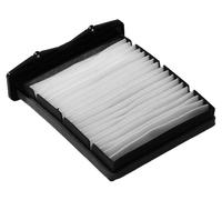 VALEO Filtre d'habitacle ESSENTIAL 698817 - Filtre à particules (pollen)