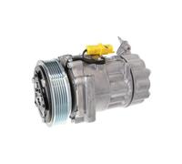 Valeo Compresseur de climatisation 813206 – R 134a PAG 46 pour MINI, PEUGEOT, SUZUKI