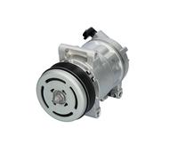 Compresseur de climatisation R 134a PAG 46 813430 VALEO pour PEUGEOT CITROËN DS