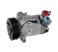 Valeo Compresseur de Climatisation, Pré-Remplis d’Huile, 690110