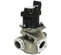 Valeo Vanne EGR 700474