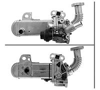 Valeo Vanne EGR 700452