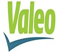 1x Ventilateur, refroidissement du moteur VALEO 696019 convient pour SEAT VW